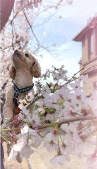 生き物ルーム第55