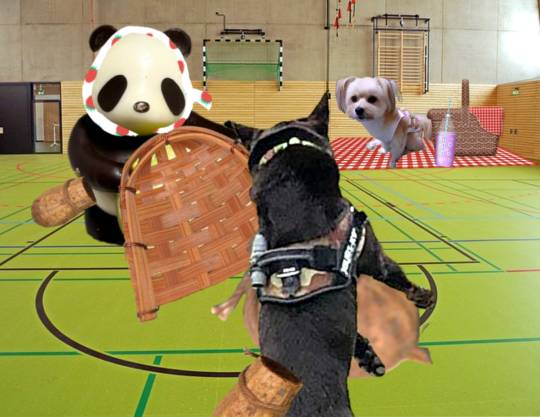 生き物ルーム第55