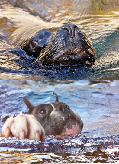 生き物ルーム第55