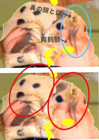 生き物ルーム第55