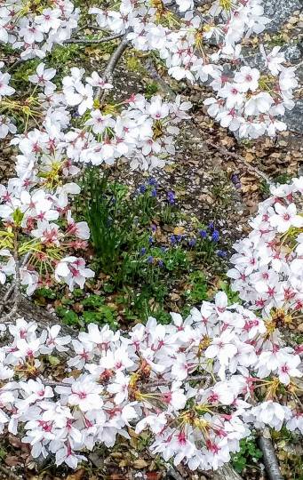 スナック【JINJIN】祝!20号店!! 成人の集いの場♪