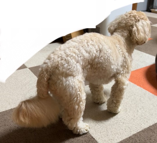 生き物ルーム第55