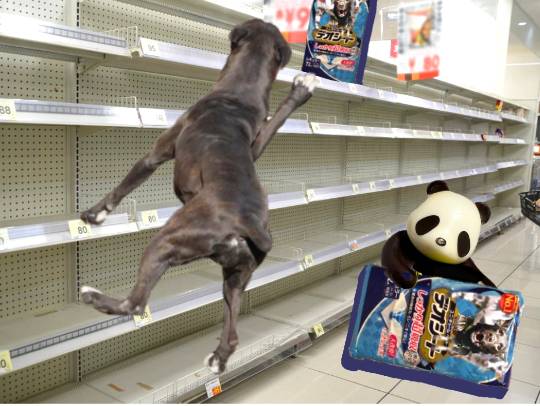 生き物ルーム第55