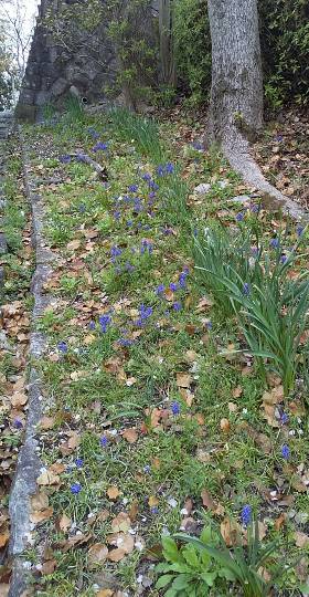 スナック【JINJIN】祝！20号店!!　成人の集いの場♪