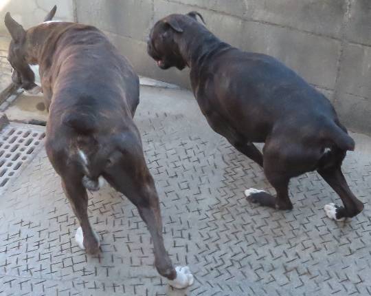 生き物ルーム第55