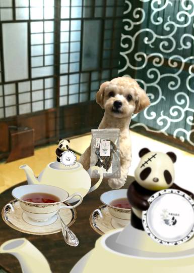 生き物ルーム第55