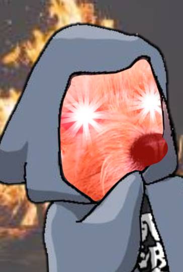 生き物ルーム第55