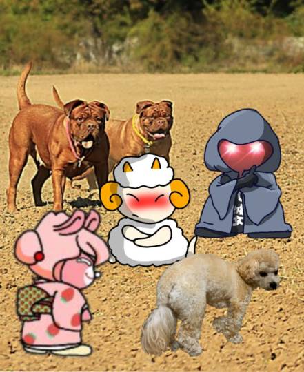 生き物ルーム第55