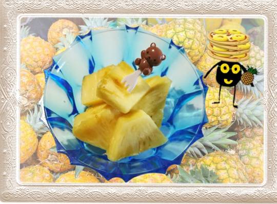 生き物ルーム第55