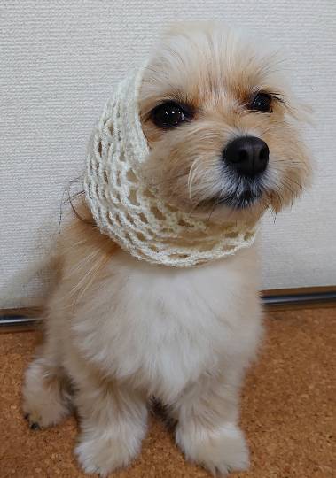 生き物ルーム第55