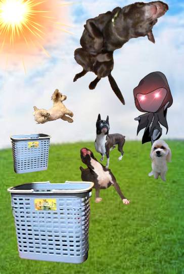 生き物ルーム第55