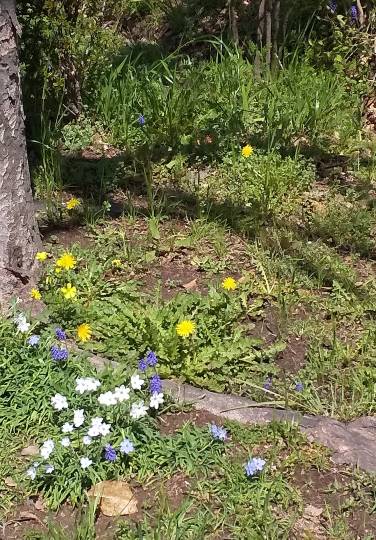 スナック【JINJIN】祝！20号店!!　成人の集いの場♪