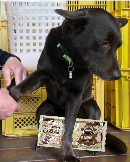 生き物ルーム第55