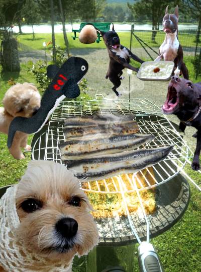 生き物ルーム第55