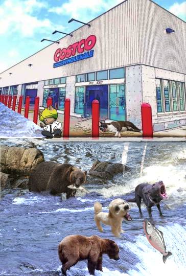 生き物ルーム第55