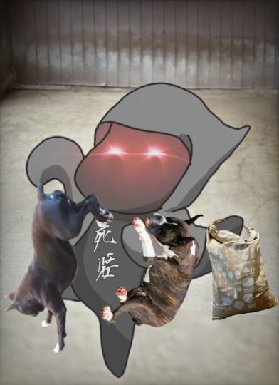 生き物ルーム第55