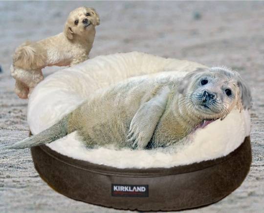 生き物ルーム第55