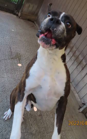 生き物ルーム第55