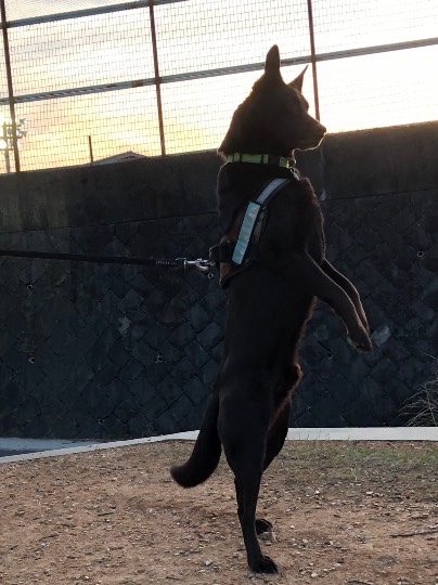 生き物ルーム第55