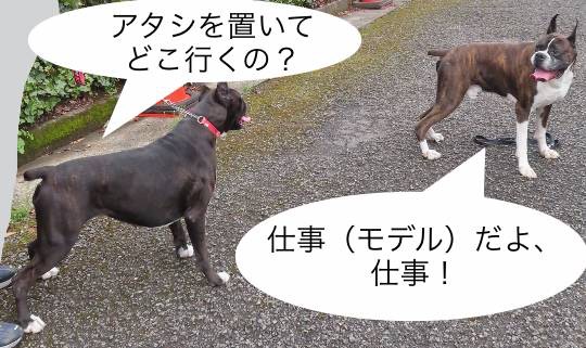 生き物ルーム第55