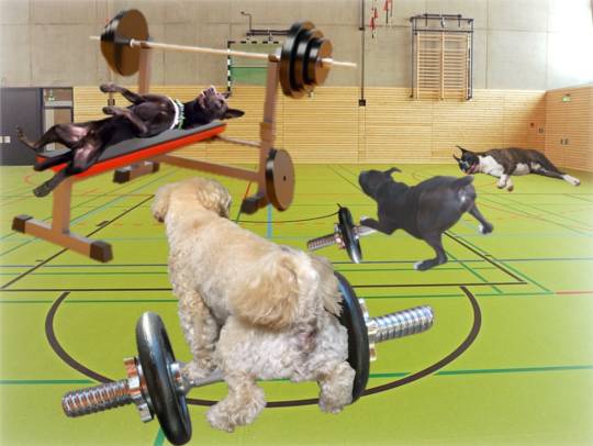 生き物ルーム第55