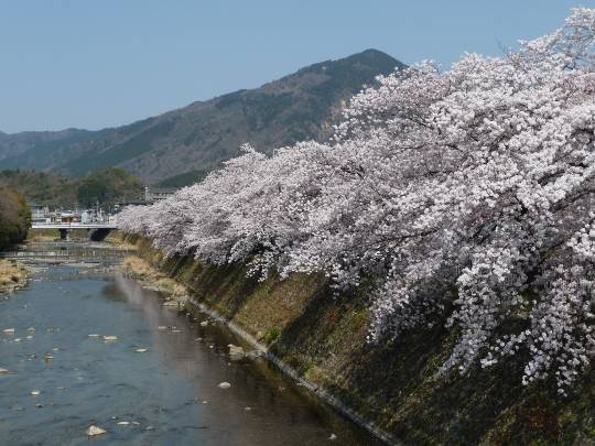 スナック【JINJIN】祝!20号店!! 成人の集いの場♪