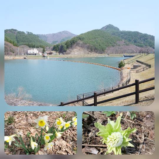 マスク同窓会詰所兼ニューフェイス歓迎所36(夢)