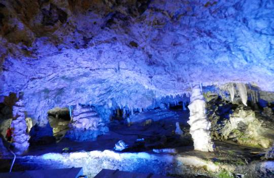 生き物ルーム第55