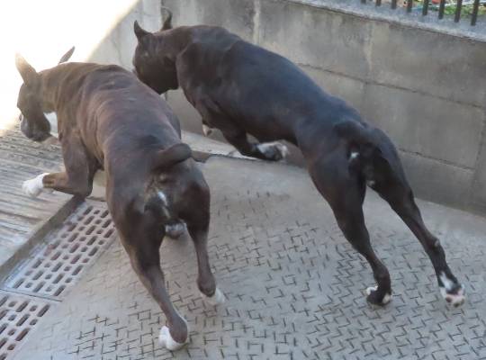 生き物ルーム第55