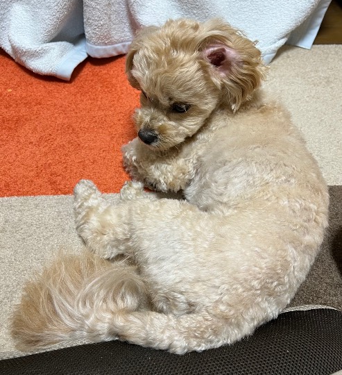 生き物ルーム第55