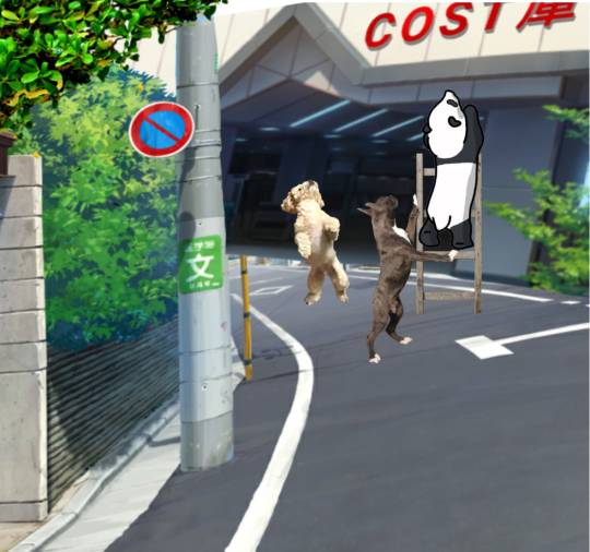 生き物ルーム第55