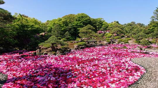 スナック【JINJIN】祝！20号店!!　成人の集いの場♪