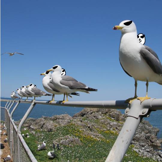 生き物ルーム第56