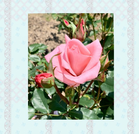 スナック【JINJIN】祝!20号店!! 成人の集いの場♪