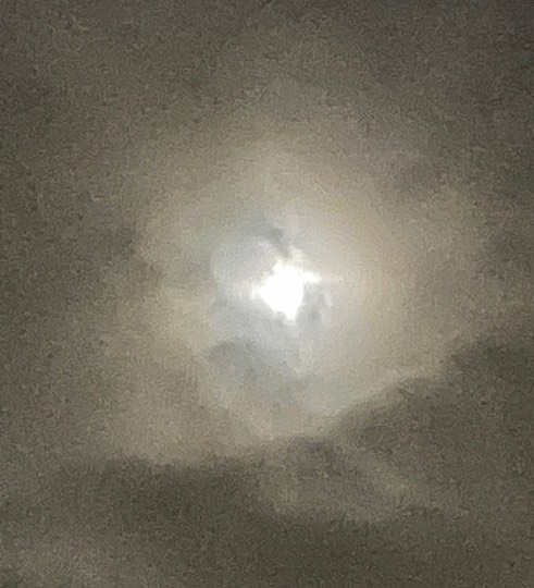 ★ドンキ♡♡ロピア 雑談62★