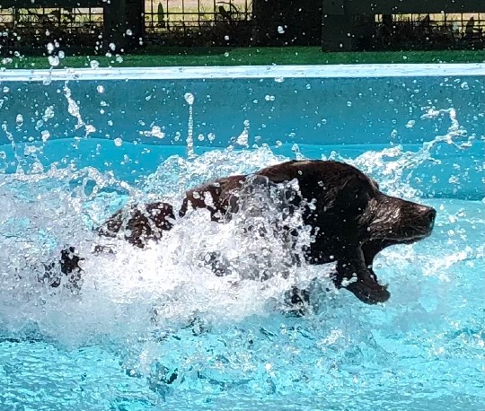 生き物ルーム第56