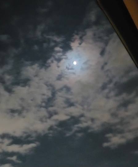 ★ドンキ♡♡ロピア 雑談62★