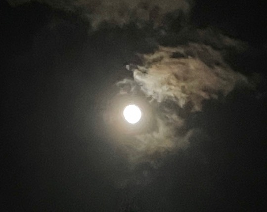 ★ドンキ♡♡ロピア 雑談62★