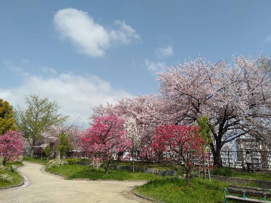 ★ドンキ♡♡ロピア 雑談62★