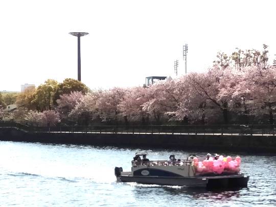 ★ドンキ♡♡ロピア 雑談62★