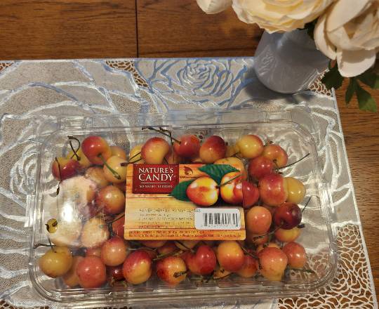 6月29日(水曜日)　守山倉庫店｜グレシラありますか？...