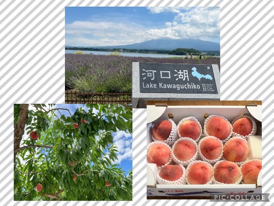 マスク同窓会詰所兼ニューフェイス歓迎所39(希望)