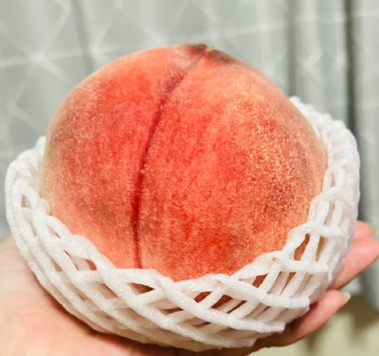 マスク同窓会詰所兼ニューフェイス歓迎所39(希望)