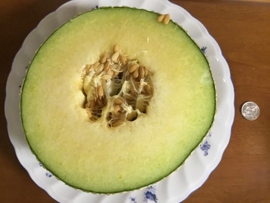 ★ドンキ♡♡ロピア 雑談66★