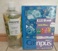 7月4日(月曜日)　和泉倉庫店｜サーモンの横に観葉植物がいっぱい
森に...