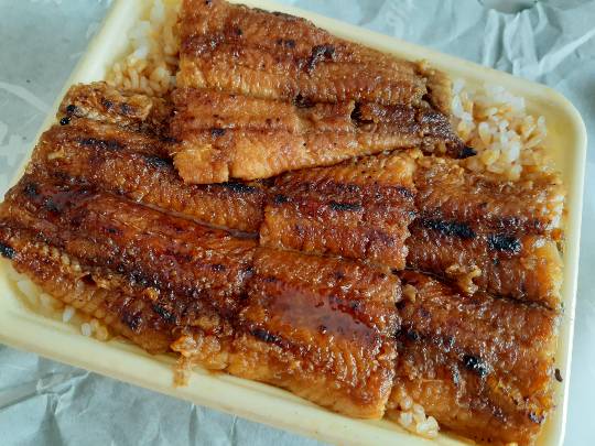 ★ドンキ♡♡ロピア 雑談66★