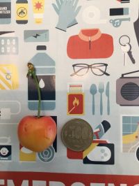 レイニアチェリー2022