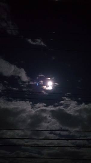 【スナックJINJIN】21号店　ハタチヲスギタラニジュウイチ♥