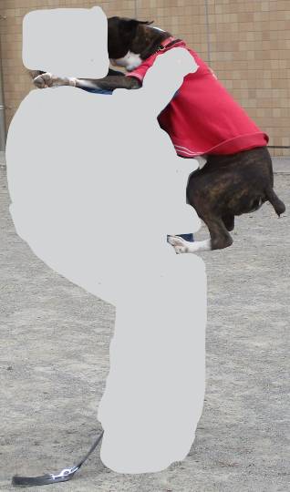 生き物ルーム第59