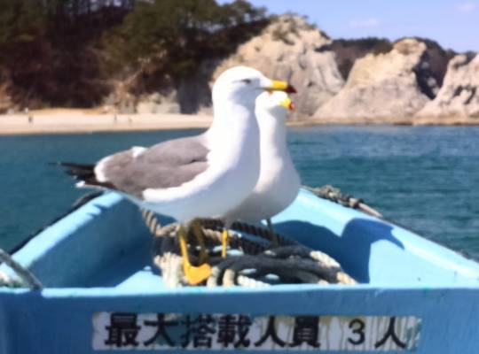 【北海道・東北】★雑談Room★